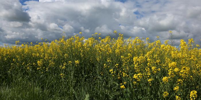 Ein warmer Tag im Mai