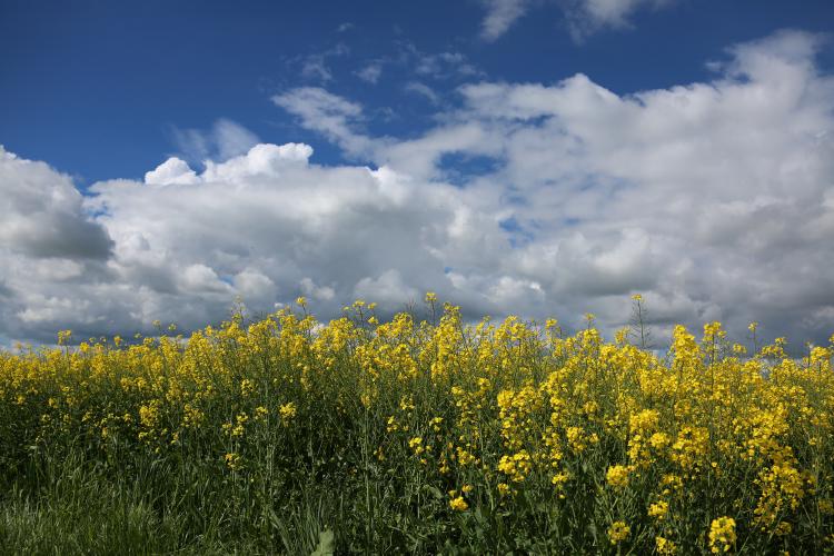 Ein warmer Tag im Mai